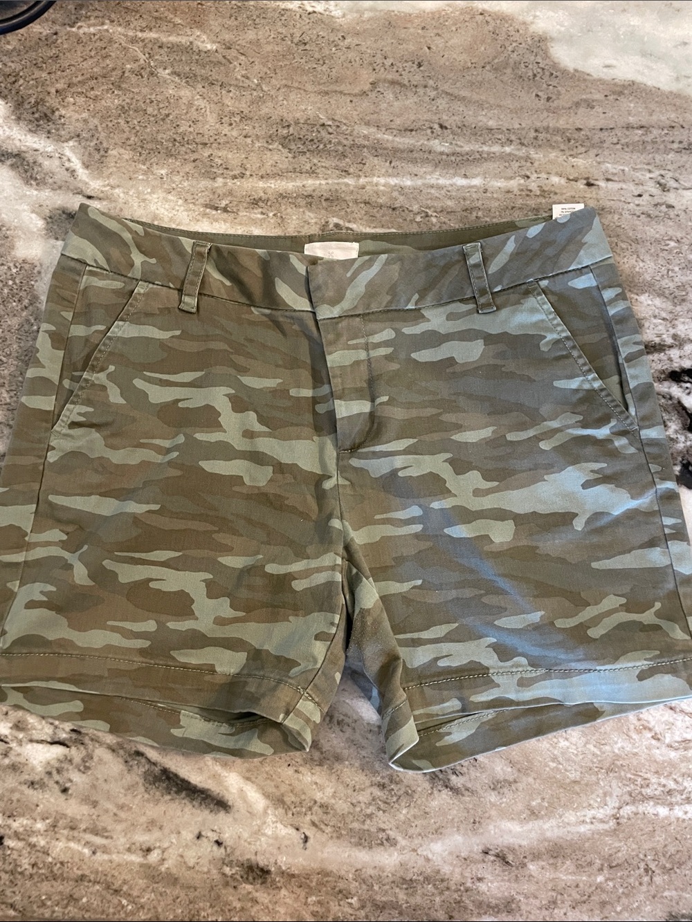 Camo Twill Casual Shorts - Carlson